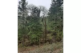 0 NE Lookingglass Lot 1 2 Rd, Roseburg, OR 97471 - Photo 21