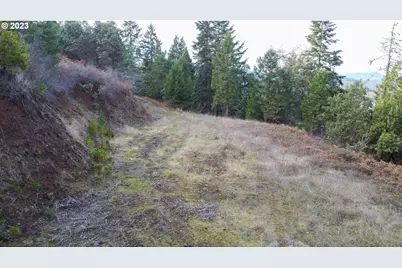 0 NE Lookingglass Lot 1,2 Rd, Roseburg, OR 97471 - Photo 27