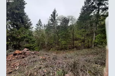 0 NE Lookingglass Lot 1,2 Rd, Roseburg, OR 97471 - Photo 19