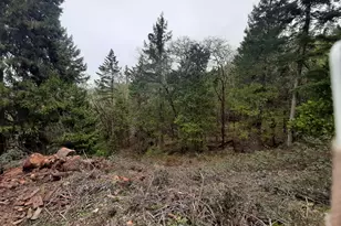 0 NE Lookingglass Lot 1 2 Rd, Roseburg, OR 97471 - Photo 19