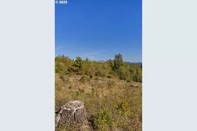 31807 NE 122nd Ave, Battle Ground, WA 98604 - Photo 15