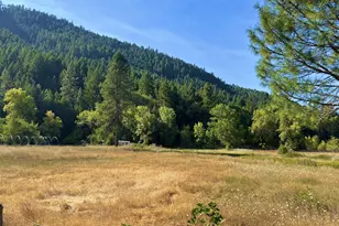 5184 Upper Cow Creek Rd, Azalea, OR 97410 - Photo 5