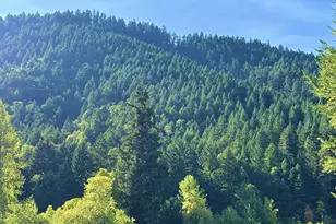 5184 Upper Cow Creek Rd, Azalea, OR 97410 - Photo 15