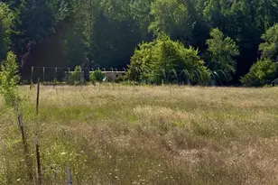 5184 Upper Cow Creek Rd, Azalea, OR 97410 - Photo 11