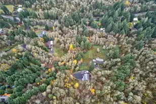 61 Joy Ln, Washougal, WA 98671 - Photo 47