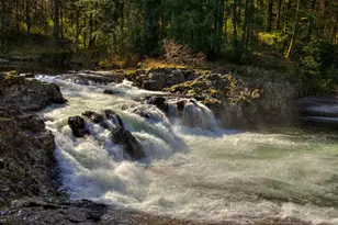 29394 NE Kelly Rd, Yacolt, WA 98675 - Photo 47