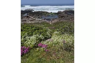 71 Surfside Dr, Yachats, OR 97498 - Photo 13