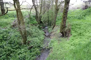 52823 Kirk Rd, Weston, OR 97886 - Photo 9