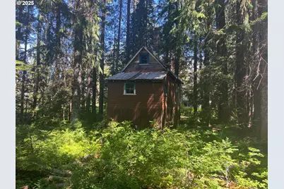 88792 E Government Camp Loop, Government Camp, OR 97028 - Photo 5