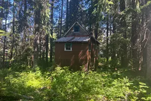 88792 E Government Camp Loop, Government Camp, OR 97028 - Photo 5