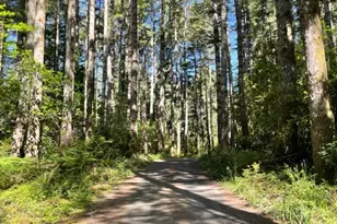 56129 Tom Smith Rd, Bandon, OR 97411 - Photo 17