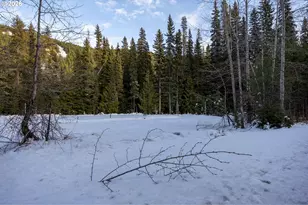 93732 E Hwy 26, Government Camp, OR 97028 - Photo 1