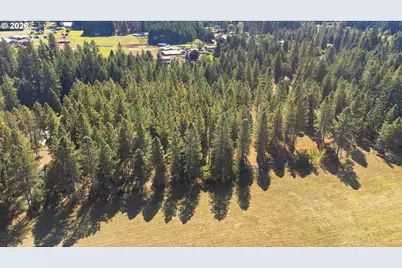 88687 Evers Rd, Elmira, OR 97437 - Photo 37