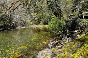 1008 Winchuck River Rd, Brookings, OR 97415 - Photo 47