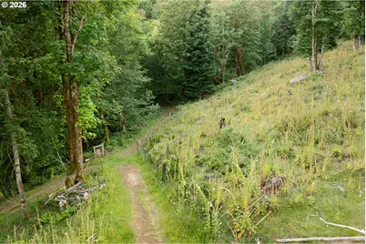 407 N Dubois Rd, Ariel, WA 98603 - Photo 41
