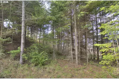 Seaview Ln, Gold Beach, OR 97444 - Photo 3