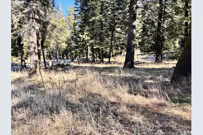 60037 Wallowa Lake Hwy, Joseph, OR 97846 - Photo 15