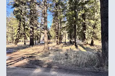 60037 Wallowa Lake Hwy, Joseph, OR 97846 - Photo 13