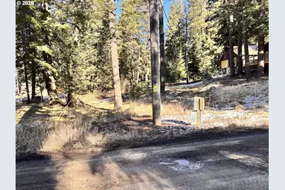 60037 Wallowa Lake Hwy, Joseph, OR 97846 - Photo 11