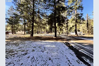 60037 Wallowa Lake Hwy, Joseph, OR 97846 - Photo 9