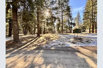 60037 Wallowa Lake Hwy, Joseph, OR 97846 - Photo 5