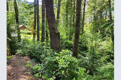 12829 Wildwood Dr, North Bend, OR 97459 - Photo 9