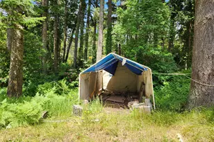 12829 Wildwood Dr, North Bend, OR 97459 - Photo 7