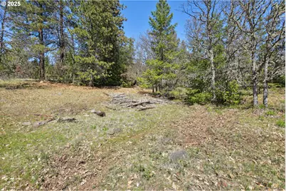 Nka Tyler Rd, Goldendale, WA 98620 - Photo 21