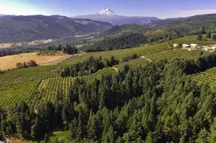 2442 Kingsley Rd, Hood River, OR 97031 - Photo 25