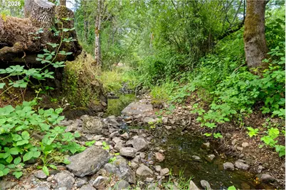 4458 Shoestring Rd, Riddle, OR 97469 - Photo 29