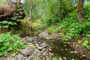 4458 Shoestring Rd, Riddle, OR 97469 - Photo 29