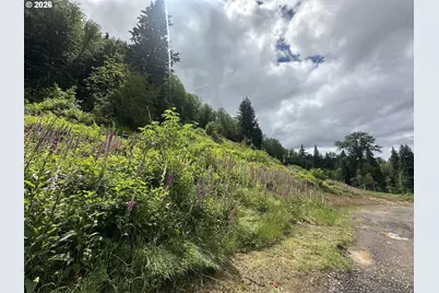 42100 NE 121st Ave, Woodland, WA 98674 - Photo 35
