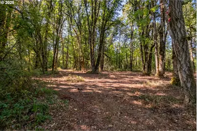 2 Pp2020-49 Lot 2, Albany, OR 97321 - Photo 35