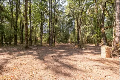 2 Pp2020-49 Lot 2, Albany, OR 97321 - Photo 9