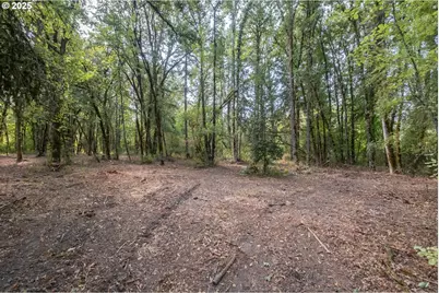 2 Pp2020-49 Lot 2, Albany, OR 97321 - Photo 13