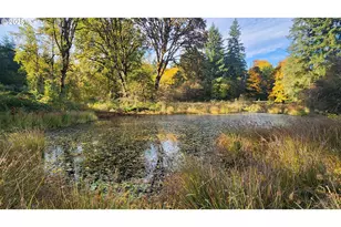 40235 Rainbow Dr, Scio, OR 97374 - Photo 47