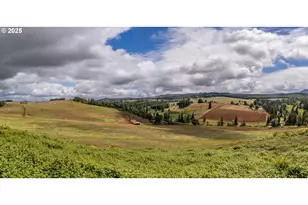 1066 Red Hill Rd, Oakland, OR 97462 - Photo 3