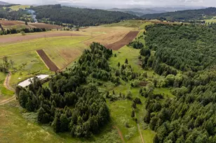 1066 Red Hill Rd, Oakland, OR 97462 - Photo 21