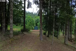 1011 NW 405th St, Woodland, WA 98674 - Photo 47