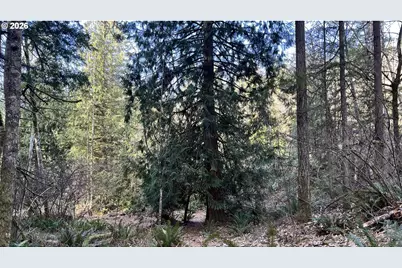 000 NE Schauer Dr, Battle Ground, WA 98604 - Photo 7