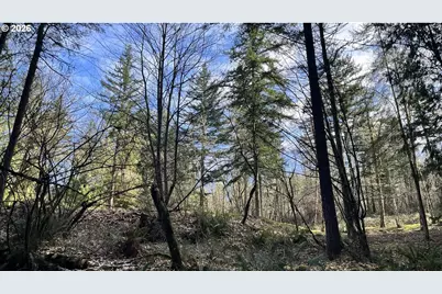 000 NE Schauer Dr, Battle Ground, WA 98604 - Photo 9