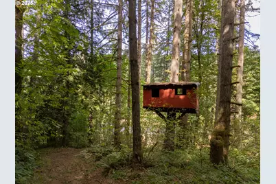 56614 NW Wilson River Hwy, Gales Creek, OR 97117 - Photo 41