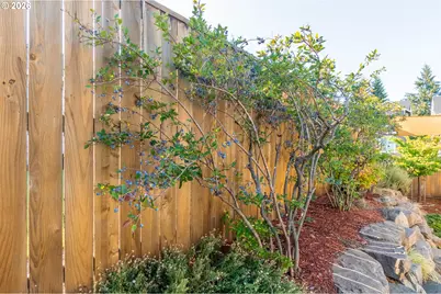 4023 SE Emily Way, Corvallis, OR 97330 - Photo 39