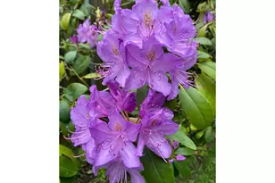 1301 NW 40th St, Vancouver, WA 98660 - Photo 31