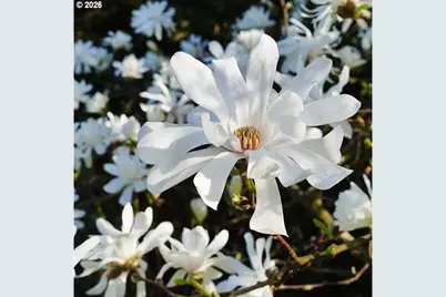 1301 NW 40th St, Vancouver, WA 98660 - Photo 33