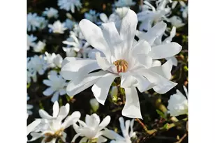 1301 NW 40th St, Vancouver, WA 98660 - Photo 33