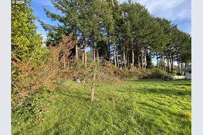 97987 Court St St, Brookings, OR 97415 - Photo 35