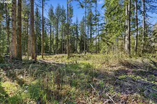 57214 E Marmot Rd, Sandy, OR 97055 - Photo 39