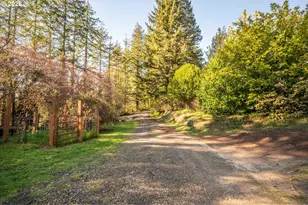 92260 Alder Hill Ln, Coos Bay, OR 97420 - Photo 47