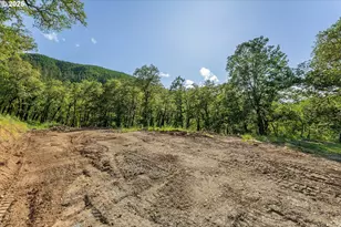 460 Huckleberry Mt Ln, Riddle, OR 97469 - Photo 23